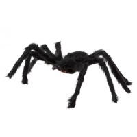 Araña de 50 cm peluda