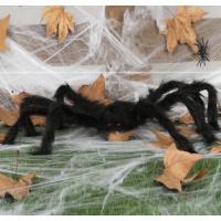 Araña de 70 cm negra