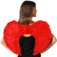 Alas de plumas para adulto de 60 x 45 cm