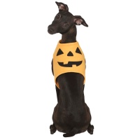 Disfraz de calabaza para perro