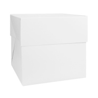 Caja de 36,5 x 36,5 x 25 cm para tarta cuadrada