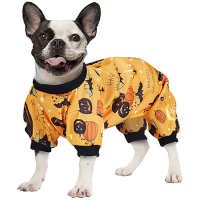 Disfraz de calabazas para perro