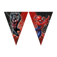 Banderín de Spiderman telaraña
