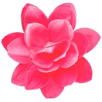 Oblea de flor de Bolacha de 13 cm - Dekora - 1 unidad