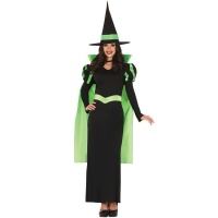 Disfraz de bruja verde para adulta