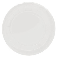 Platos de 23 cm de cartón blanco - 10 unidades