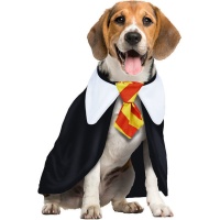Disfraz de estudiante de magia para perro