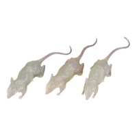 Rata de 7 cm fosforescentes - 3 unidades
