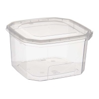 Tupper de 0,75 L de plástico rectangular con tapa sujeta