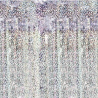 Cortina de 2 x 1 m holográfica