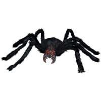 Araña de 1 m negra