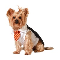 Disfraz de mago estudiante Harry para perro