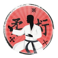 Platos de Karate de 18 cm - 8 unidades