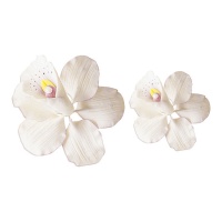 Decoración de orquídeas en dos tamaños - Dekora - 14 unidades