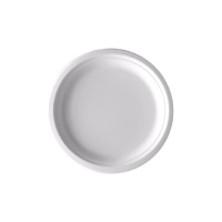 Platos de 18 cm de caña de azúcar - 10 unidades