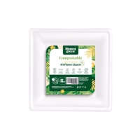 Platos de 20 cm de cartón cuadrados - 50 unidades