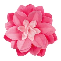 Oblea de flor gigante de Water Lily de 14 cm - Dekora - 1 unidad