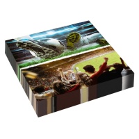 Servilletas de Fútbol Kick It de 16,5 cm - 16 unidades