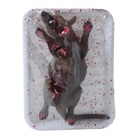 Rata muerta en bandeja de 18 x 12 cm