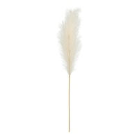 Rama decorativa de pampa crema de 0,15 x 1,10 m - 1 unidad