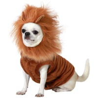 Disfraz de león para perro