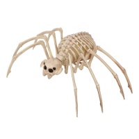 Araña de 35 x 20 cm esqueleto