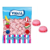 Tartitas con cubertura de azúcar - Vidal - 1,5 kg