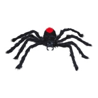 Araña de 60 cm peluda negra de espalda roja