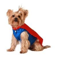 Disfraz de súper héroe rojo para perro