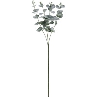 Rama de Eucalipto de 60 cm