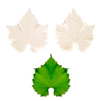 Molde texturizador de hoja de vid de silicona de 10 cm