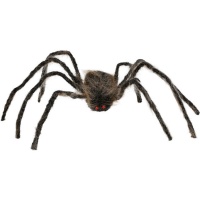 Araña de 75 cm marrón de patas largas