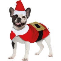 Disfraz de Papá Noel para perro