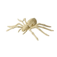 Araña de 24 x 12 cm esqueleto