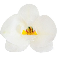 Obleas de flores de Orquídeas de 8,5 x 7,5 cm - Dekora - 10 unidades